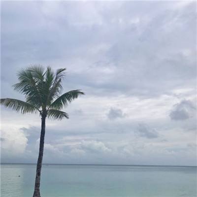 勇者斗恶龙之幻手游